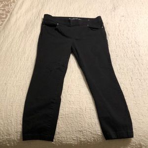 gloria vanderbilt clothing canada